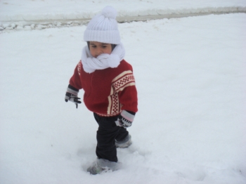 İsinda Evleri