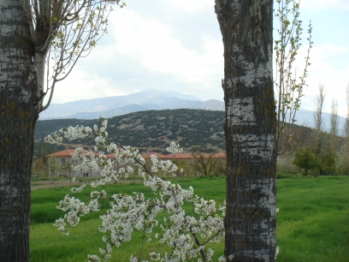 Marzuman